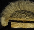 Catacombs of Milos - Arcosolia 11
